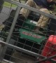 Man on Mower Takes a Tumble