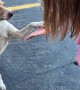 Sweet Street Dog Does High Fives After Being Fed