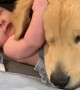 Baby and Dog Cuddling on the Couch