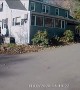 Wind Sends Tree Falling into House