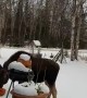 Moose Enjoy A Delicious Halloween Snack