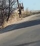 Deer Running Down the Road