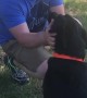 Excited Doggy Reunites with His Owner