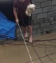 Pets Rescued From Fierce Flooding
