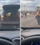 Lady gets out of her car to save stray dogs from traffic