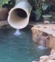 Doggy Slide Down Waterslide Backwards