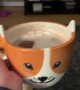 Corgi Has Concerns About Human's Mug