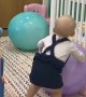 Bobo the Monkey Bouncing on Bouncy Balls