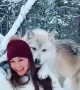 Trained wolf gives woman a kiss during photoshoot