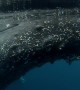 Humpback Whale Stops to Say Hello