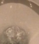Water Bubbles Warble in Troubled Toilet Bowl