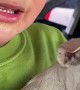 Boy Cries over Puppy's Vaccination