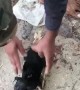 Kind Men Rescue A Drowning Puppy