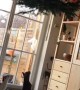 Hanging Christmas Tree Doesn't Deter Kitty