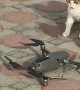 Curious Kitties Swipe at Drone