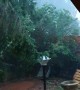 Severe Rainstorm Blows Backyard Tree Down