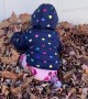Happy Twins Play in Leaf Pile