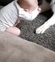 Baby Has a Husky Best Friend