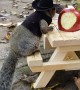 Squirrel Dressed as Cowboy is Ready for Breakfast