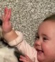 Baby and Dog Crack Each Other Up