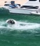 Runaway Boat Struggles to Be Caught