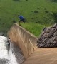 Dog Washed over Dam Wall is Rescued