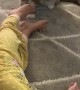 Kitty and Toddler Have a Blast Together