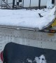Trailer Roof Snow Removal