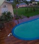Horse Escapes and Accidentally Falls into Pool