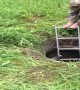 Rescuing a Fallen Hog from a Hole