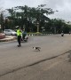 Police Officer Helps Kitty Cross the Street