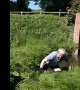 Man Trying to Jump Small Stream on Unicycle Prevails
