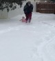 Baby Sled Ride Ends in a Bang