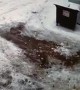 Dude Has Some Serious Shovel Troubles