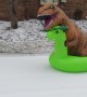 T-Rex Slides Down Snowy Hill