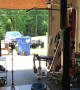 Bear Family Admires Garage Gym Setup