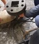 Saving a Puppy with Head Stuck in Metal