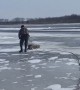 Game Warden rescues deer stranded on icy river
