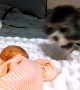 Puppy\'s Adorably Precious Reaction To Meeting Newborn Baby