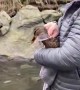 Duck Gets Help From Some Humans