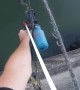 Bowfishing Headshot from a Dam