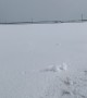 Strong Winds Form Snow Rollers