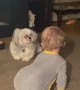Grandson Loves Playing with Pup