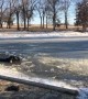 Cows Rescued from Frozen Pond