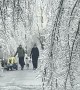 Frozen Trees Create Winter Wonderland