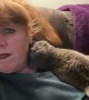 Cuddly Kitty Craves Attention