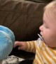 Baby Gets the Giggles from Toy Dog's Floppy Ears