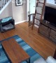 Excited Puppy Zooms through the House
