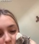 Cat Likes Earlobe
