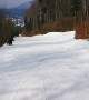 Skiing with a Bear on the Slopes